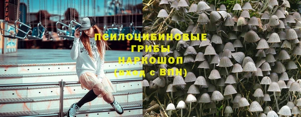 бошки Красноперекопск