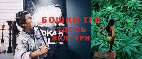 spice Краснослободск