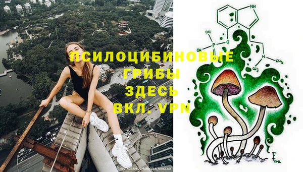 spice Краснослободск