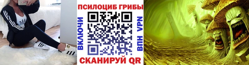 Галлюциногенные грибы Cubensis  Купить где  Пятигорск 